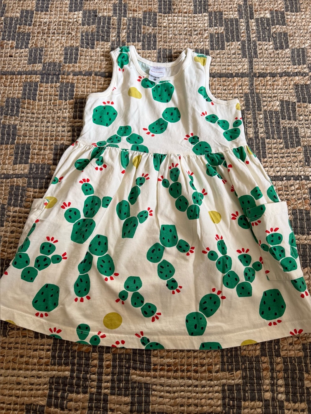 Hanna Andersson Cream Dress with Green Cactus and Red Accents